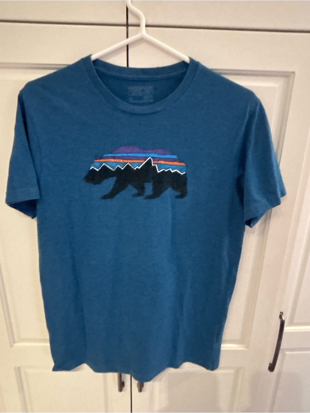 Patagonia Fitz Roy Bear Graphic T-Shirt Men’s Medium Blue Outdoor Hiking